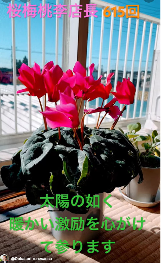 朝の題目1万遍体験記615回:今日は座談会、加メンバーにも暖かい激励の言葉をかけていきたいと思います。